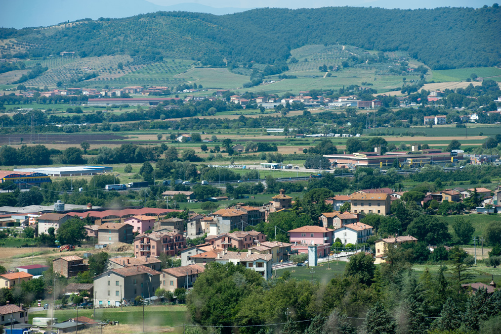 Festa delle noci