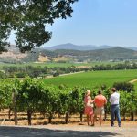 Strada del Vino Colli del Trasimeno