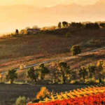 Strada del Vino Colli del Trasimeno