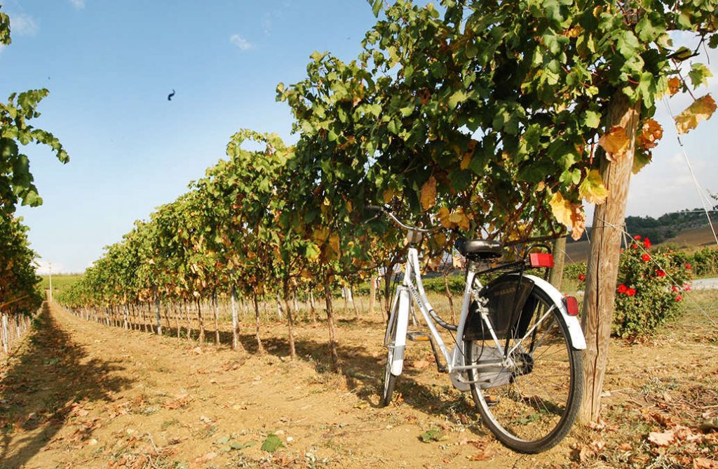 Strada del Vino Colli del Trasimeno